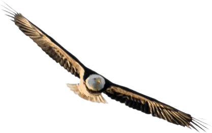 FROM ANOTHER PERS­PECTIVE